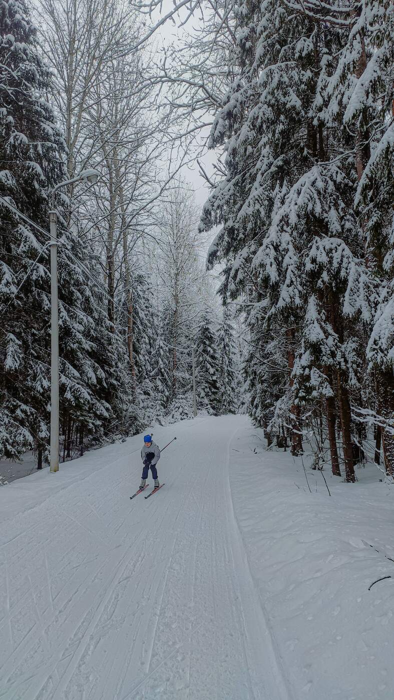 A person cross-country skiing along a groomed snowy trail through a winter forest